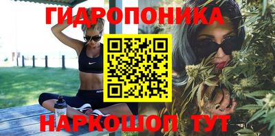метамфетамин Камышлов